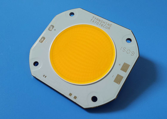 China High CRI COB LED Array 95Ra Daylight 5600K 600W Fresnel COB LED supplier